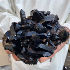 2.1lb Large Natural Black Smoky Quartz Crystal Cluster Point Raw Mineral Specim picture