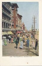 ATLANTIC CITY NJ - The Boardwalk Postcard - udb (pre 1908) picture
