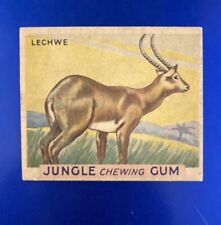 1933 World Wide Gum - Jungle Gum #22 Lechwe picture