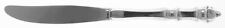 Towle Silver Carpenter Hall  Modern Hollow Knife 1198587 picture