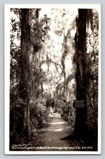 RPPC Jungle Trail Natures Giant Fishbowl Homosassa Springs Real Photo FL P692 picture
