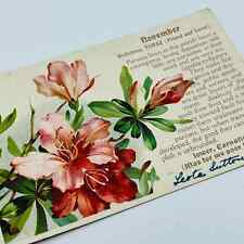 1910s Post Card Birthstone November Topaz Carnation PA6 picture