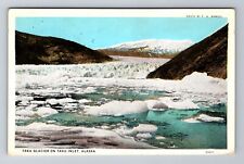 Taku Inlet AK-Alaska, Taku Glacier, Antique, Vintage Souvenir Postcard picture