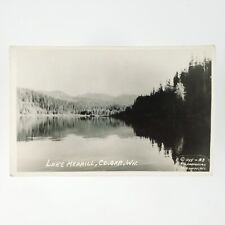 Merrill Lake Cougar Washington RPPC Postcard 1940s Cowlitz County Forest C3222 picture