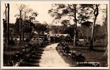 SILVER SPRINGS, Florida RPPC Real Photo Postcard Park / Path Scene c1940s Unused picture
