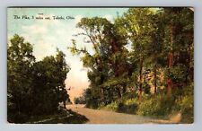 Toledo OH-Ohio, The Pike, 5 Miles Out, Antique Vintage c1911 Souvenir Postcard picture