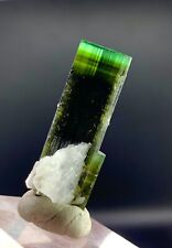 7.0 Gram. Terminated Beautiful Natural Green Cap Tourmaline Crystal @Afgha picture