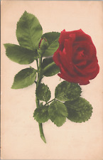 Red Rose c1920 Antique Postcard With Russian Message - Unposted picture