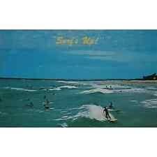 Surfing Surf's Up Florida Coast Postcard picture