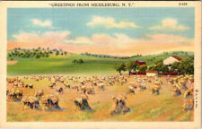 Postcard FARM SCENE Middleburg New York NY 6/18 AL7879 picture
