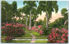 Postcard - A Beautiful Garden In The Sunshine State - Florida picture