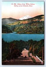 Postcard Mt Adams White Salmon Columbia River Oregon c1910 Unposted Mitchell picture