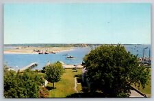 Edgartown Harbor Martha's Vineyard Chappaquiddick Island MA Postcard T12 picture