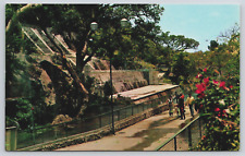 Urban State Park Barranca de Chapultepec Cuernavaca Mexico c1960s Postcard D1 picture