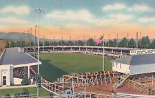 Colorado Springs CO  Spencer Penrose Stadium Rodeo 1944 Postcard D41 picture