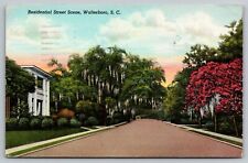 Postcard: Residential Street Scene, Walterboro, SC, Curt Teich, Posted 1945 picture