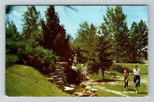 A Roadside Spring In Michigan  Vintage Souvenir Postcard picture