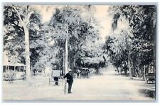 c1905's Man With Bicycle Horse Carriage Dirt Road Trees Daytona Florida Postcard picture