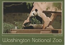 Postcard Washington National Zoo - Giant Panda, Vintage Used good shape picture