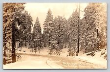 RPPC Pacific Highway Siskiyou Mountains California VTG Postcard EKKP 1904-1950 picture