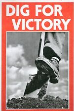 Dig for Victory, From a WWII British War Poster --POSTCARD picture