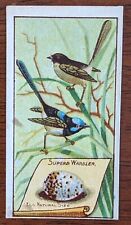 1912 Wills Vice Regal Birds of Australasia Cigarette Card - Superb Warbler. picture
