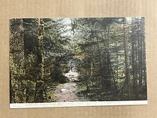 Postcard Squirrel Island Maine ME Lovers Lane Scenic Greetings Vintage 1906 UDB picture