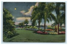 POSTCARD Moonlight in Florida FL Palm Trees Flowers Clouds Water picture