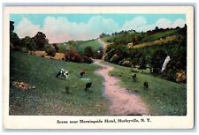 c1920 Scene Morningside Hotel Cow Field Exterior Hurleyville New York Postcard picture