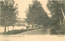 Wilton Maine Foot of Wilson Lake King Tuck #2143 C-1905 Postcard 21-13378 picture