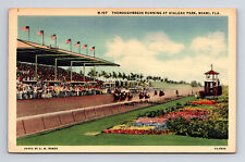 Hialeah Park Race Track Thoroughbreds Running Miami FL Florida Postcard picture