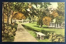 Postcard The Greenbrier West Virginia White Sulphur Spring Walkway c1910 picture