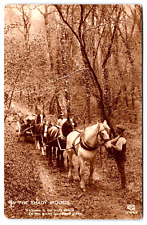 Postcard RPPC Woodland, Farmer Hauling w/4 Horse In-line Hitch High Detail A13 picture