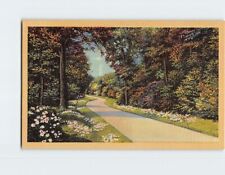 Postcard Road/Pathway Nature Scene picture