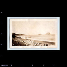 Vintage Photo LANDSCAPE SEASCAPE OCEAN BEACH SCENE picture