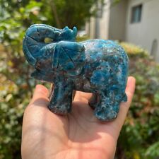 1.2LB 3.7'' Natural Blue Apatite Elephant Figurine Quartz Rock Crystal Carved picture