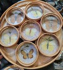 Vtg Bamboo Tray 13 Coasters Set Botanical Butterflies Display Rattan Retro  picture