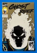 Ghost Rider #15 2nd Printing, never read, in Mint Condition picture