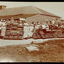 Postcard FIG PLANT WORKERS Houston, Texas 1910-1920 Fig Growing Canning - REPRO picture