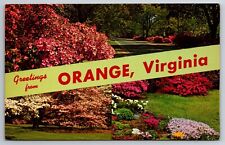 Vintage Postcard VA Orange Greetings Flowers Chrome ~12456 picture