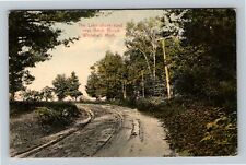 Whitehall, MI-Michigan, Lake Shore Road Near Birch Brook, c1908 Vintage Postcard picture