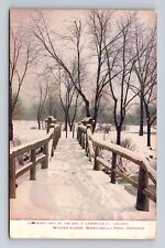 Chicago IL-Illinois, Winter Scene, Washington Park, Antique Vintage Postcard picture