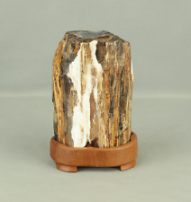 Suiseki - Keikaboku Silicified Wood with Wooden Stand collected in Gifu, 1975 picture