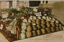 c1915 VICK QUALITY SEEDS Rochester NY Rare Vintage Advertising Postcard picture