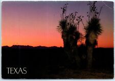 Postcard - Texas Sunrise, USA picture