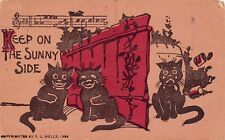 R. L. Wells Cartoon Cats Music Notes Affirmation Keytesville MO Vtg Postcard B26 picture
