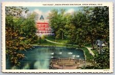 Green Springs Ohio~Oak Ridge Sanitarium Springs Scene~Vintage Linen Postcard picture