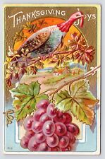 1908~Thanksgiving Turkey in Fruit Tree~Embossed~Gold Foil~Antique Postcard picture