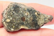 NWA 8036  (7.746g)  Meteorite End Cut Eucrite-pmict, IMCA #s 6236 & 7294 Sellers picture