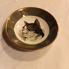 Grey Cat tabby crown ducal England antique 4” plate ENGLAND FALCON WARE 2-73 picture